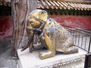 THE FORBIDDEN CITY