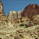 191.JPG