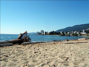 Ambleside Park beach view 