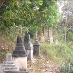 P2062441.JPG