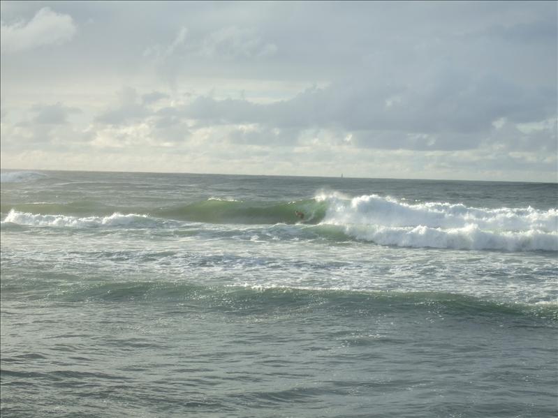 DSCF1766.JPG