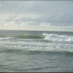DSCF1766.JPG