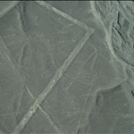 Nasca lines-Whale.jpg