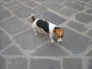 grosseto con Aleksandra (58).jpg