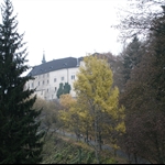 DSC00800.JPG