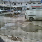 IMG00160-20110415-1656.jpg