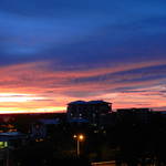 IMG_2603.JPG