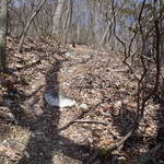 P3050025.JPG
