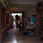 IMGP9372.JPG