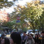 KIF_0023.JPG