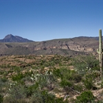IMG_0931.jpg