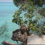 Prison Island