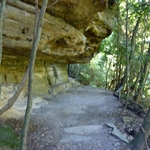 P1010228.JPG