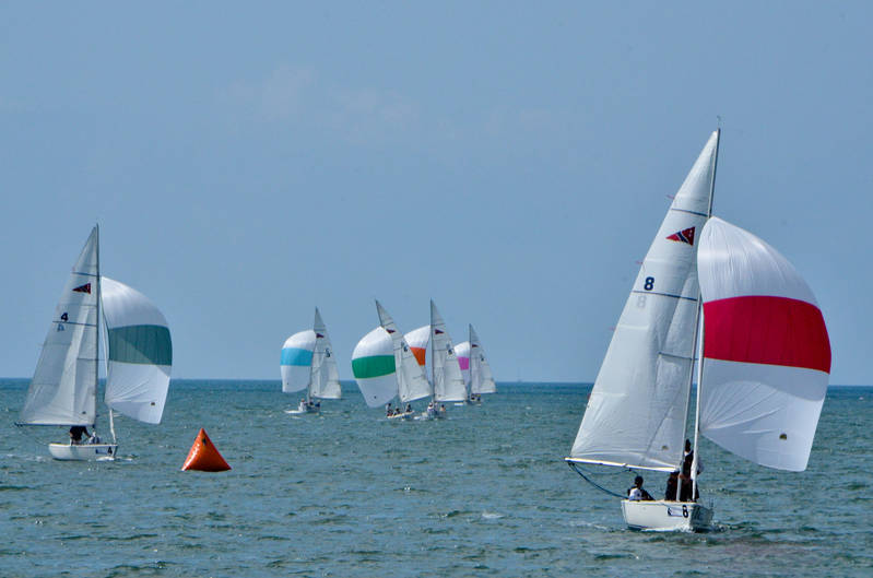 St Petersburg FL Races and Harbor 4-19-21-12 064.jpg