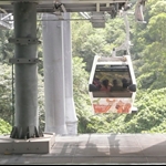 貓纜 (11).JPG