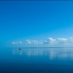 DSCN1032.jpg