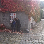 IMG00800-20100925-1645.jpg