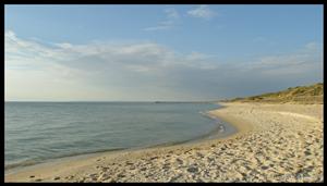 Seaford