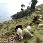 HPIM0456.JPG