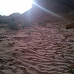 IMG-20120511-00483.jpg