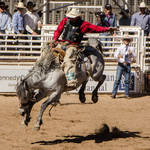 Cave Creek Rodeo 4-1-12 164.jpg