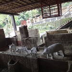 DSC00576.JPG