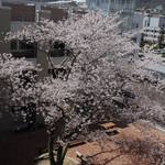 Kobe University