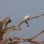 3J9X6078u.jpg