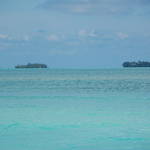 DSC_1047.JPG