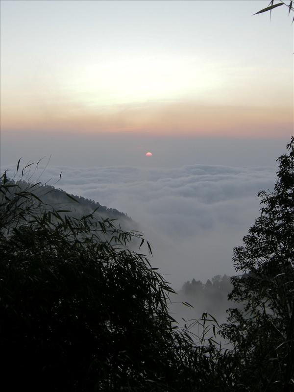 DSCN0374.jpg