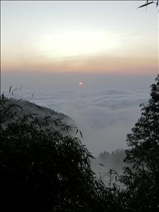DSCN0374.jpg