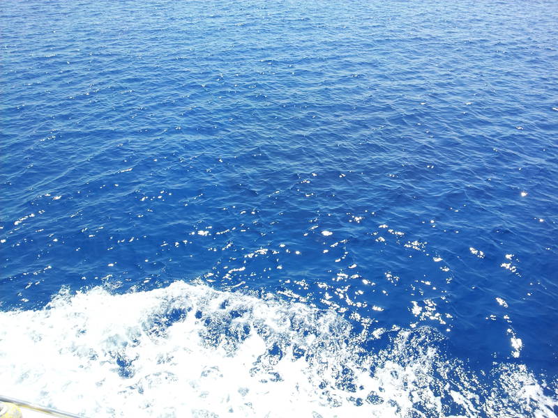 20120525_135221.jpg