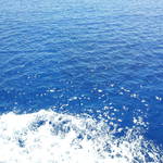 20120525_135221.jpg