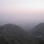 IMG_3504.JPG