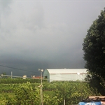 左邊烏雲  右邊 出太陽