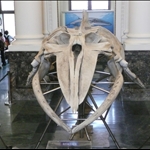 2009.05.16國立臺灣博物館