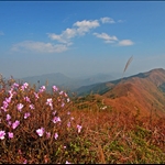 20061224 Bride’s Poll Road to Hok Tau Reservoir via Wilson Trail Stage 9 仙鶴神遊
