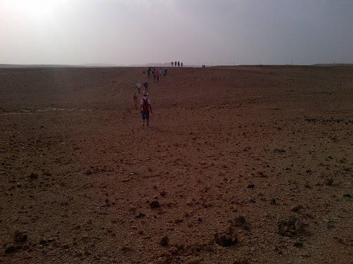 IMG-20120511-00455.jpg