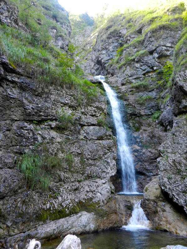 DSCN1763.JPG
