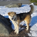 kenai lake 009.JPG