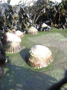 IMG_0065.jpg