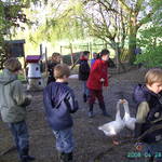 BILD0716.JPG