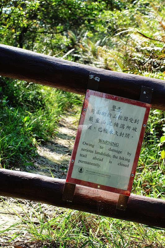 DSC_2008.jpg