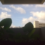 shenzhen trip