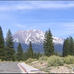 Majestic Shasta