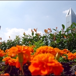 2009.10.2