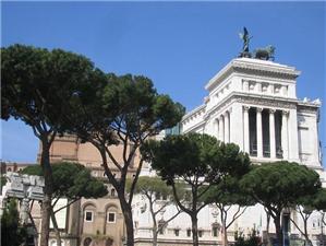 roma 023.jpg