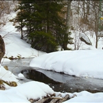 Vitosha