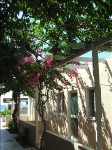 At the Sacallis Hotel, Kefalos Bay