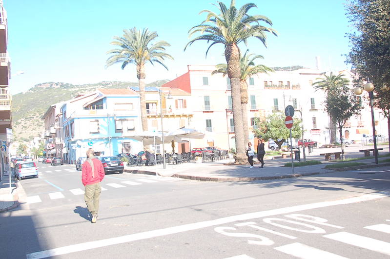 DSC_0869.JPG
